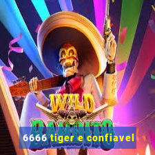 6666 tiger e confiavel